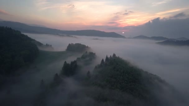 Flyga Över Dimmigt Moln Över Skogen Soluppgången — Stockvideo