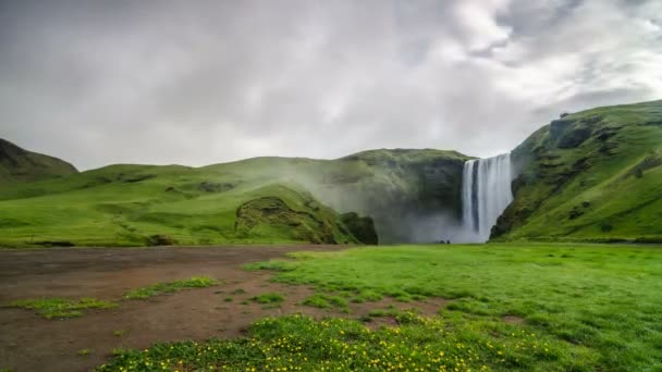 Morgenlicht Über Dem Wasserfall Skogafoss Grüner Isländischer Natur Zeitraffer — Stockvideo