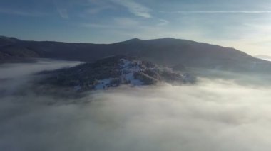 Sisli ormanın kış manzara havadan görünümü