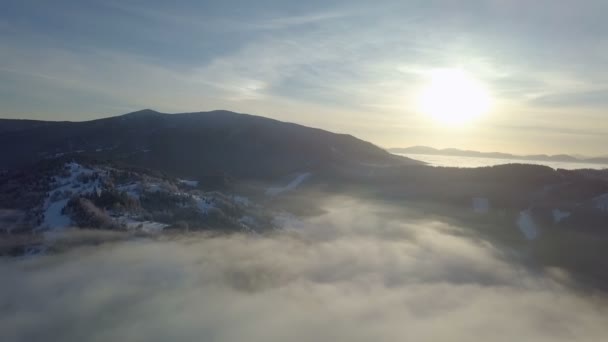 Flug Die Sonne Über Nebliger Winterlandschaft — Stockvideo