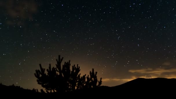 Estrellas Moviéndose Sobre Árboles Noche Azul Nubes Time Lapse Dolly — Vídeos de Stock