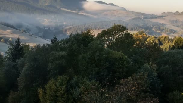 Hösten Soluppgång Över Skogen Med Snabbt Fallande Blad Från Träd — Stockvideo