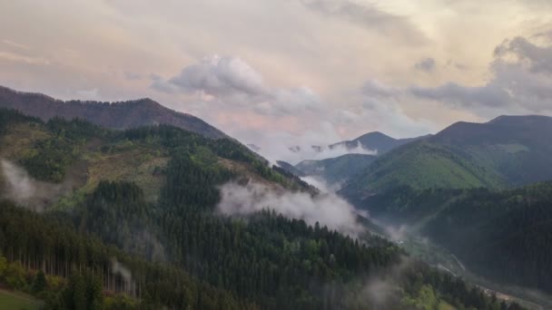 空中云雾缭绕的森林山脉超失效 — 图库视频影像