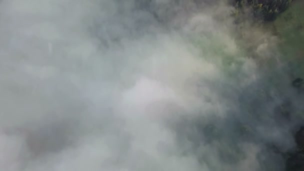 Aerial view of foggy clouds over green forest in morning landscape — Stockvideo