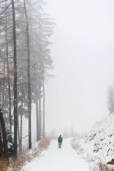 Karlı kış ormanlarında turist yürüyüşü