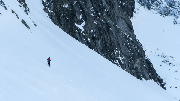 Karlı kışta yüksek dağlarda yürüyüş yapan dağcı.