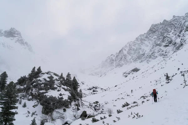 Dia Ensolarado Inverno Nevado Altas Montanhas Tatra Eslováquia — Fotografia de Stock