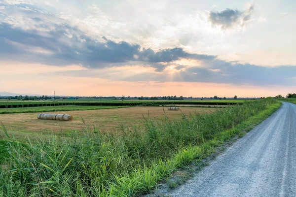 Pianura padana landscape at sunset with a dramatic sky — Stock Photo, Image