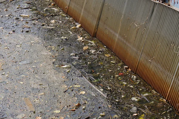 Junk in canal — Stock Photo, Image