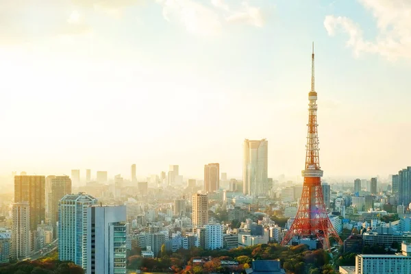 Концепція бізнесу для нерухомості та корпоративного будівництва - Tokyo Башта, Орієнтир Японії і панорамний сучасного міста птах пташиного з драматичним Схід сонця і вранці небо — стокове фото