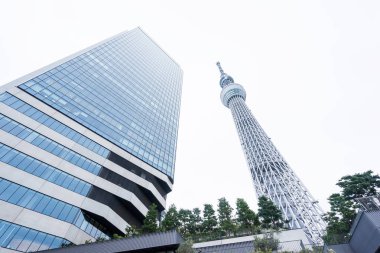 Tokyo, Japonya - 13 Ekim 2106: İş kavramı Emlak ve kurumsal İnşaat: Tokyo Skytree(sky tree), Japonya landmark beyaz arka plan ile görünümünü bakılması