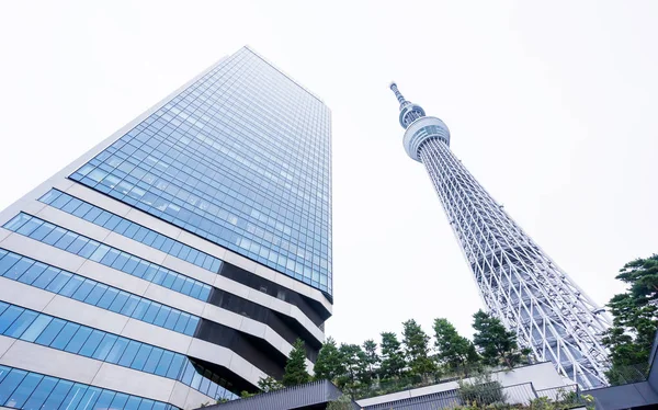 Tokio Japonia Paź 2106 Koncepcja Biznesowa Dla Nieruchomości Firmy Budowlane — Zdjęcie stockowe