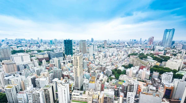 Üzleti és a kultúra fogalma - panorámás modern madár szem légi városra a tokyo torony alatt drámai napos és reggel kék felhős ég, Tokyo, Japán — Stock Fotó