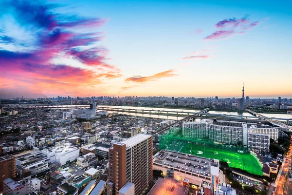 Concept d'affaires et de culture - vue aérienne panoramique de la ville moderne avec vue aérienne sur la montagne Fuji et tokyo skytree sous un coucher de soleil spectaculaire et un ciel nuageux magnifique à Tokyo, Japon — Photo