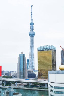 Tokyo, Japonya - 13 Ekim 2106: İş kavramı Emlak ve kurumsal İnşaat: modern cityscape Tokyo Skytree(sky tree), Japonya landmark beyaz arka plan ile görünümü oluşturma