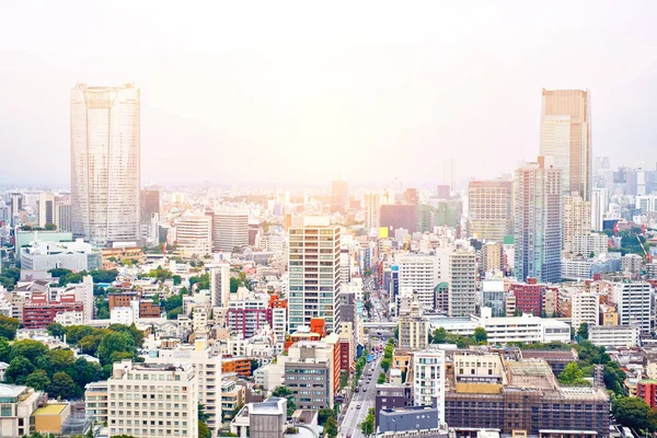 Asia Concepto de negocio para bienes raíces y construcción corporativa: vista aérea panorámica del paisaje urbano moderno desde la torre de tokyo bajo el amanecer y el cielo brillante azul matutino en Tokio, Japón — Foto de Stock
