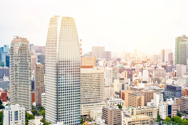 Ásia Conceito de negócio para imóveis e construção corporativa - paisagem urbana moderna panorâmica que constrói a visão aérea do olho do pássaro da torre de tokyo sob o nascer do sol e o céu brilhante azul da manhã em Tóquio, Japão — Fotografia de Stock