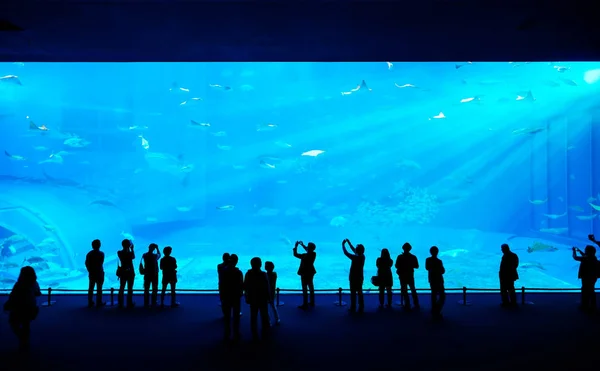 ファンタジー水中水族館で巨大なジンベイザメを見て子供たちの家族のシルエット — ストック写真