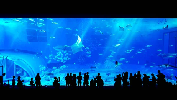 ファンタジー水中水族館で巨大なジンベイザメを見て子供たちの家族のシルエット — ストック写真