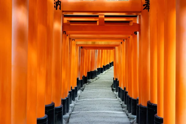 Das Weltkulturerbe, roter Torweg, torii-Korridor in fushimi inari taisha, traditioneller Tempel in kyoto, Japan — Stockfoto