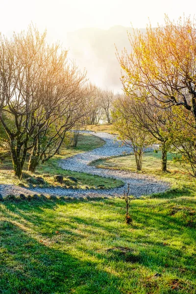 Kaya yolu altında güzel sabah, deniz ve Yushan mounatin Alishan(Ali mountain) Milli Parkı, Tayvan parlak mavi gökyüzü ile dramatik bulut