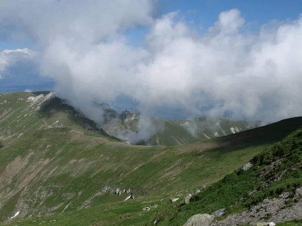 Güzel yaz dağ eyer üstünde belgili tanımlık tepe — Stok fotoğraf