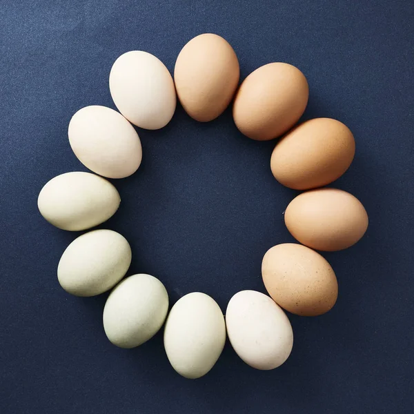 Csirke tojás elhelyezett egy kör szín rendelés Jogdíjmentes Stock Képek