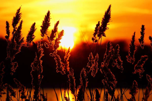 Een prachtige zonsondergang — Stockfoto