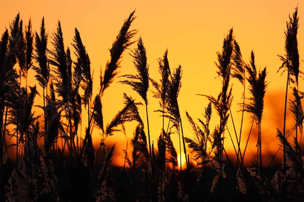 Een prachtige zonsondergang — Stockfoto