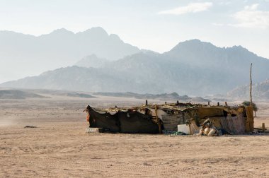 Çöldeki Bedevi kulübesinde bir deveyle, dağların arka planında. Gün batımında.