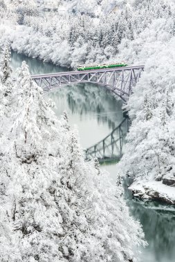Tren ile kış manzarası