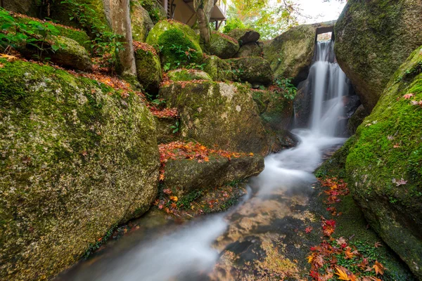 Momijidani Park i Japan — Stockfoto