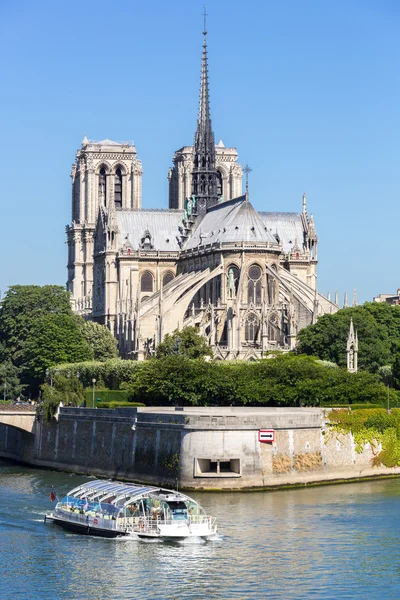 Katedralen Notre Dame Paris med kryssning — Stockfoto