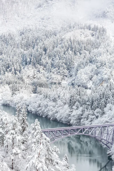 Vista paisagem inverno — Fotografia de Stock