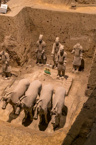 Xian Çin Terra Cotta Warriors — Stok fotoğraf