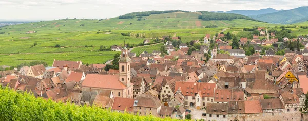 Riquewihr in the heart of the Alsatian vineyard — Stock Photo, Image