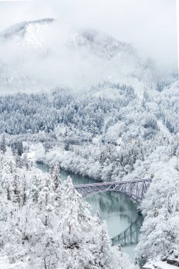  Karla Kaplanmış Ağaçlar