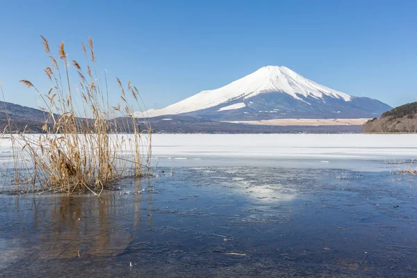 Lake en berg Fuji — Stockfoto