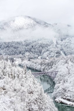  Karla Kaplanmış Ağaçlar