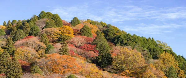 Korankei orman sonbahar park — Stok fotoğraf