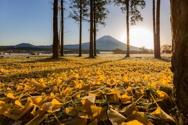 Sonnenaufgang am Fuji-Berg — Stockfoto