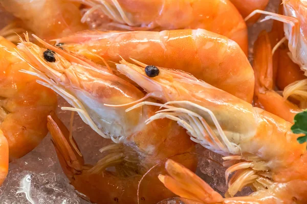 Freshly cooked prawns — Stock Photo, Image