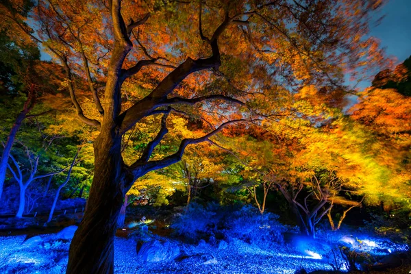 Jardin Korakuen Tokyo — Photo