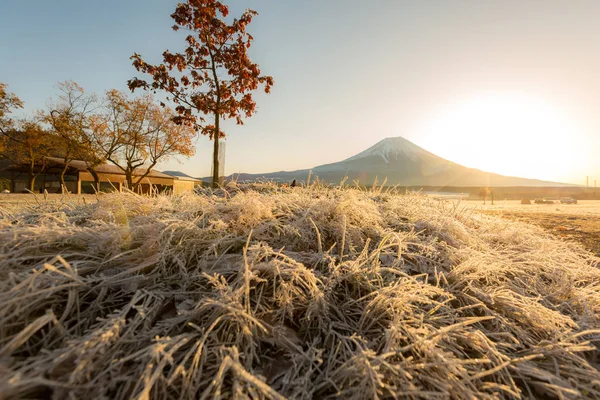 Hora Fudži v Sunrise — Stock fotografie