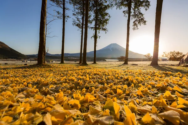 Sonnenaufgang am Fuji-Berg — Stockfoto