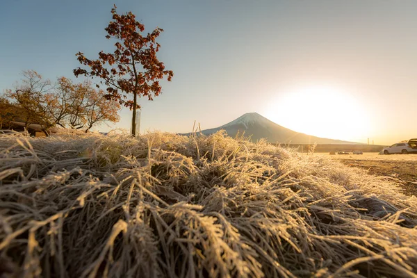 富士山日出 — 图库照片