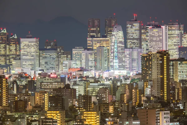 Tokyo shinjuku mit fuji — Stockfoto