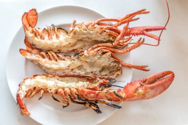 taze ıstakoz ızgara