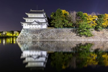 Geceleri Nagoya Kalesi