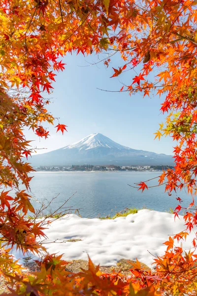 Montagne fuji en automne — Photo